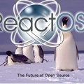 The future of open source